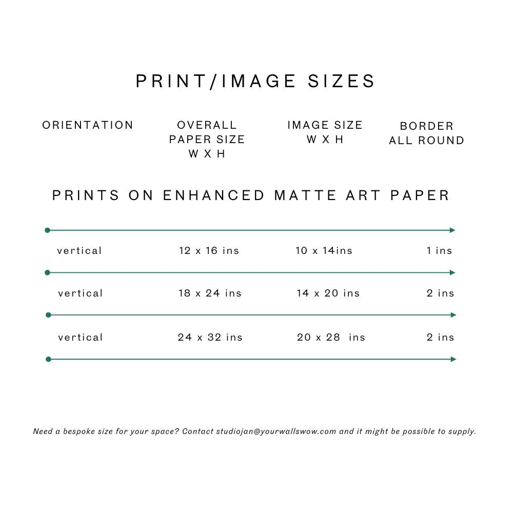 see the sizes and borders of your art print